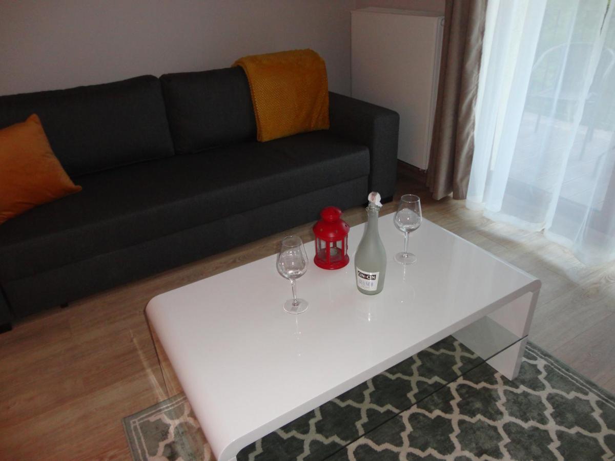 Apartament 5 Pietro Z Widokiem Na Gory Διαμέρισμα Szklarska Poręba Εξωτερικό φωτογραφία